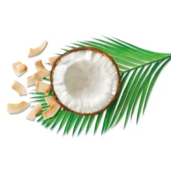 Toasted Coconut Chips - 3oz - Good & Gather™